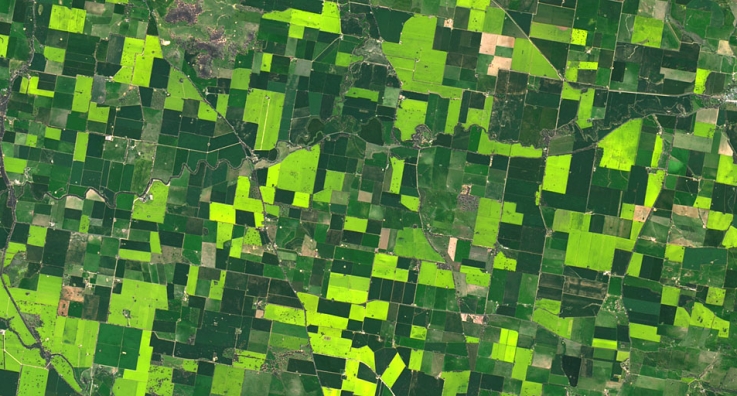 کشاورزی هوشمند – پیاده‌سازی با استفاده از داده‌های فضایی